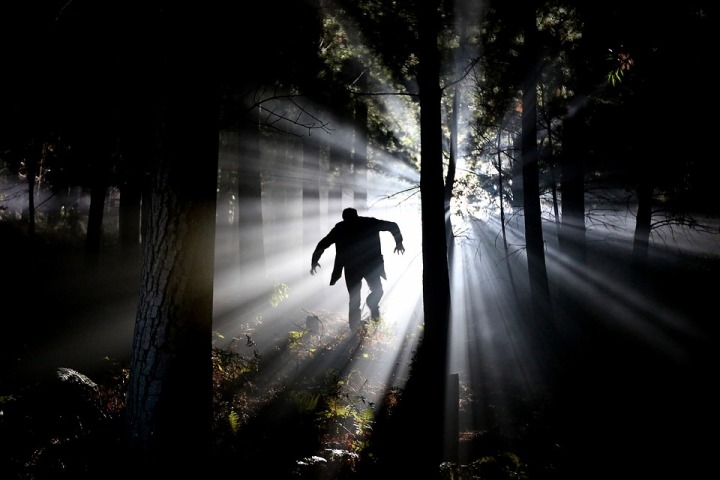 Psychopath Eery Forest Fear Stalk Frankenstein